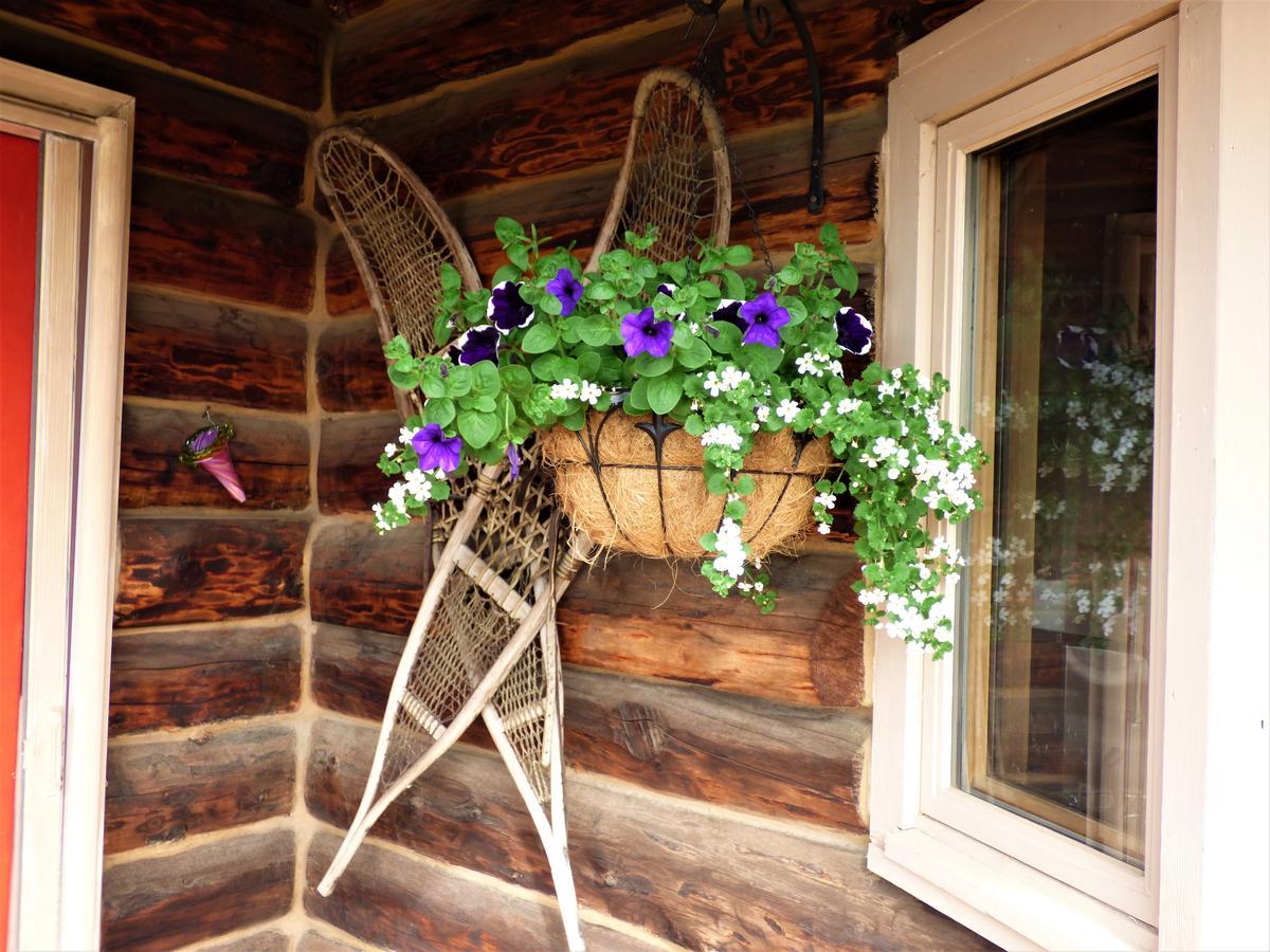 Juneberry Lodge Homer Kültér fotó