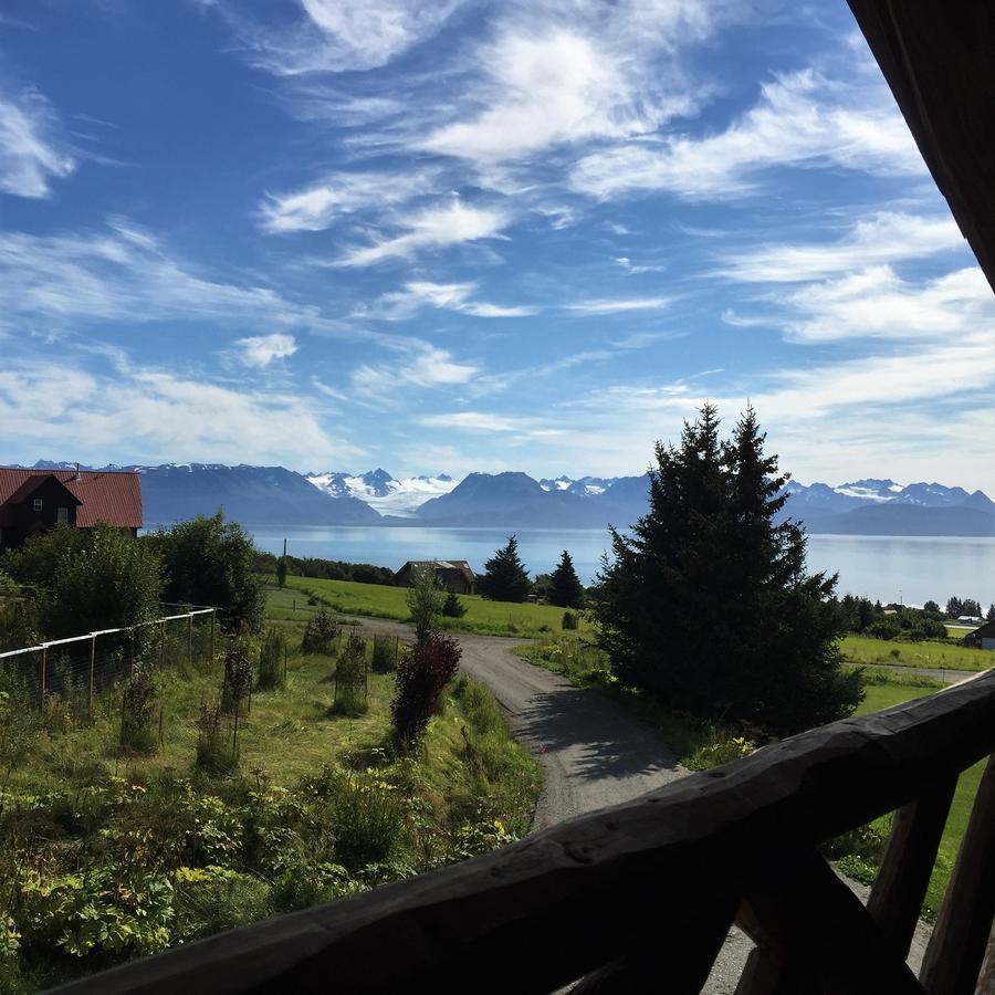 Juneberry Lodge Homer Kültér fotó