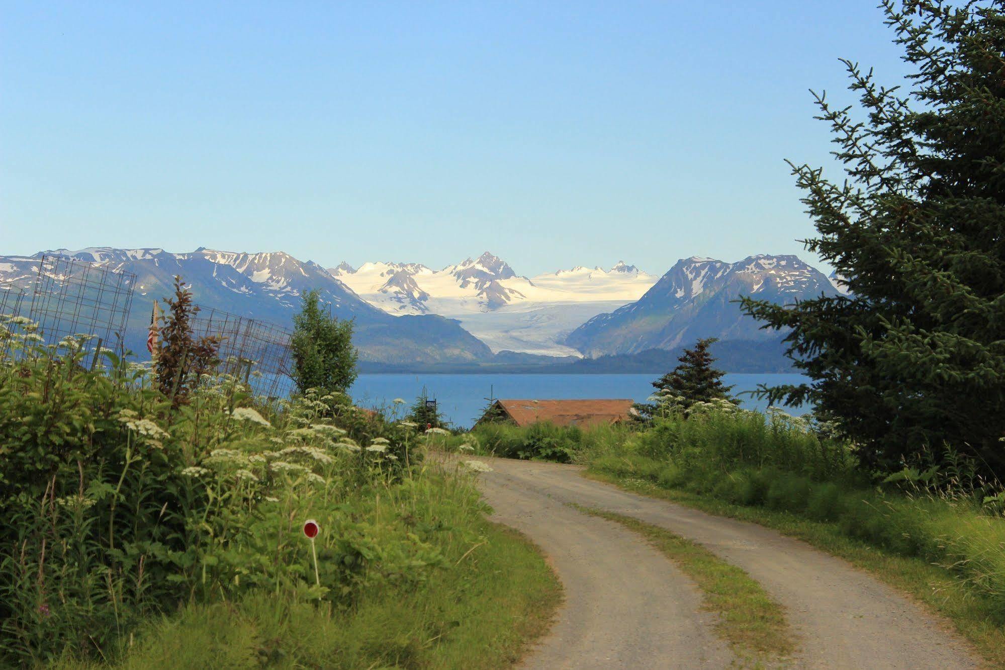 Juneberry Lodge Homer Kültér fotó