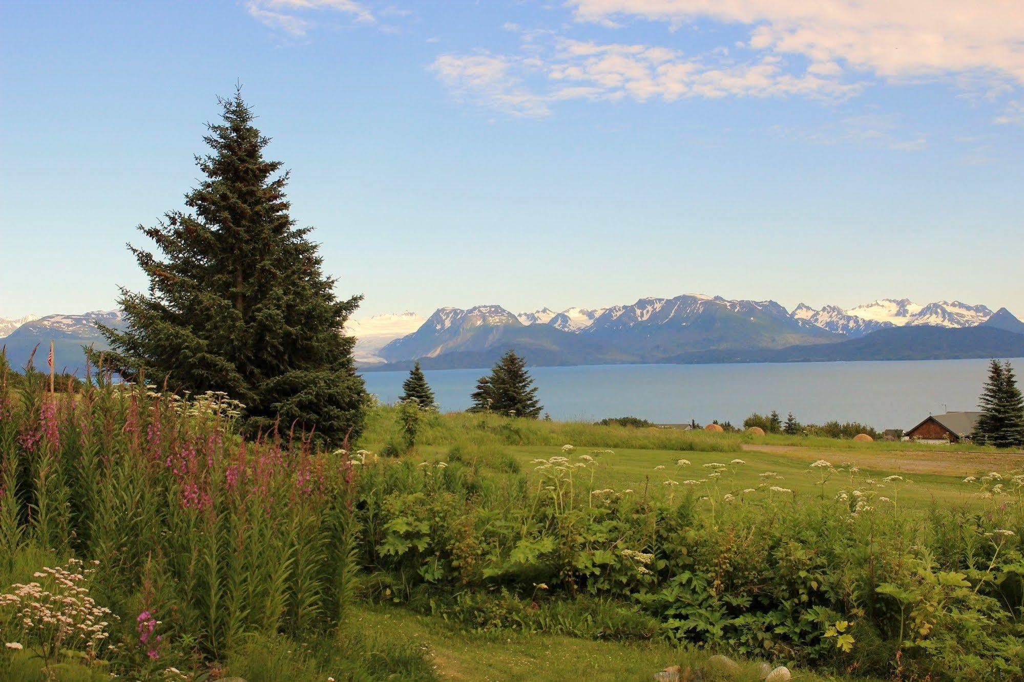 Juneberry Lodge Homer Kültér fotó